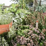 Biobauernhof Gegg Daire *